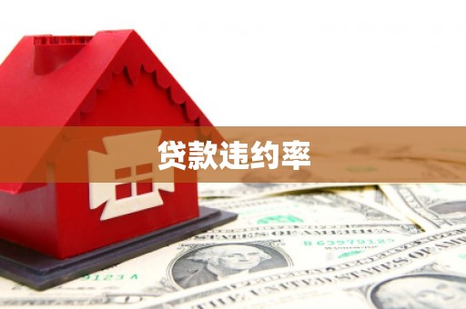 盐埔贷款违约率