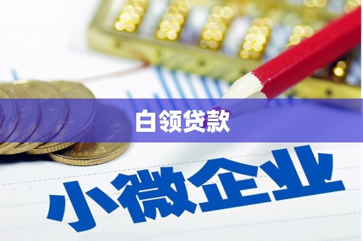 盐埔白领贷款