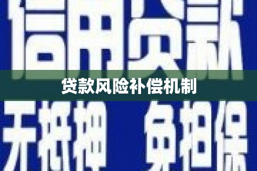 盐埔贷款风险补偿机制