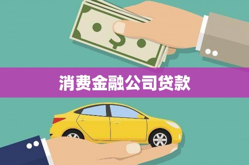 盐埔消费金融公司贷款