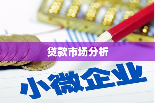 盐埔贷款市场分析