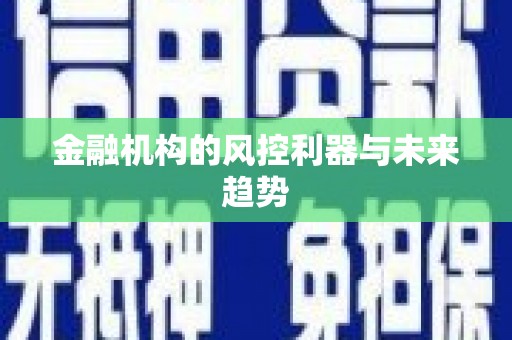 盐埔金融机构的风控利器与未来趋势