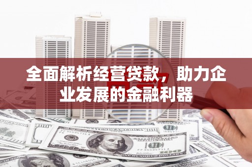 盐埔全面解析经营贷款，助力企业发展的金融利器