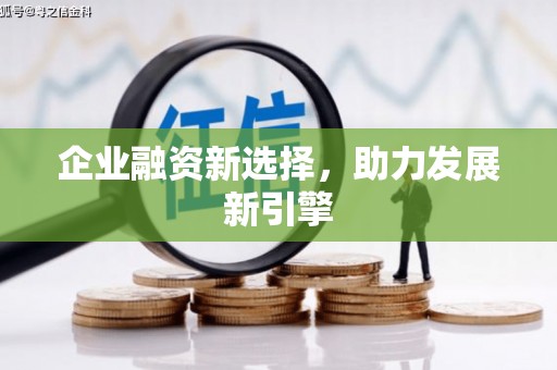 盐埔企业融资新选择，助力发展新引擎