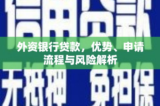 盐埔外资银行贷款，优势、申请流程与风险解析