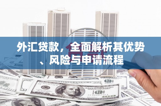 盐埔外汇贷款，全面解析其优势、风险与申请流程