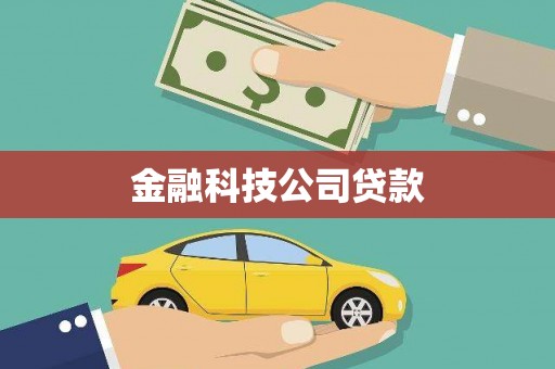 盐埔金融科技公司贷款