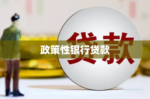 盐埔政策性银行贷款