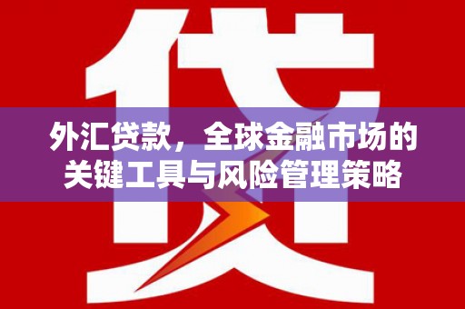 盐埔外汇贷款，全球金融市场的关键工具与风险管理策略