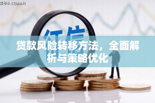 盐埔贷款风险转移方法，全面解析与策略优化