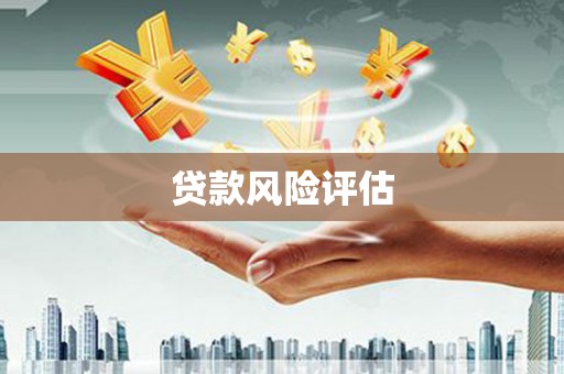 盐埔贷款风险评估