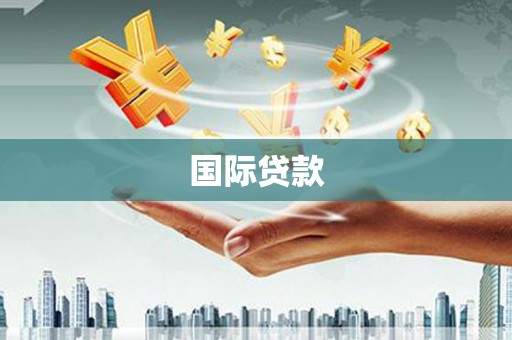 盐埔国际贷款