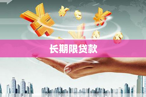 盐埔长期限贷款