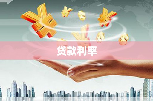盐埔贷款利率
