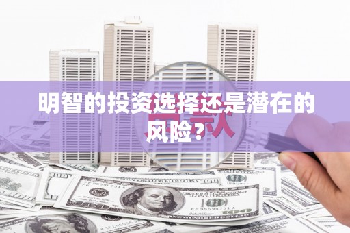 盐埔明智的投资选择还是潜在的风险？