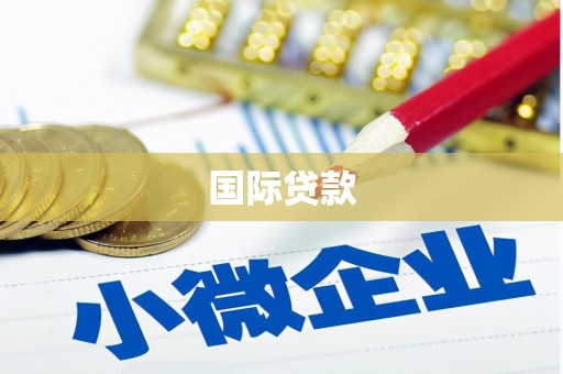 盐埔国际贷款