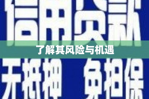 盐埔了解其风险与机遇