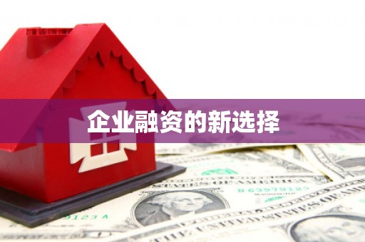 盐埔企业融资的新选择