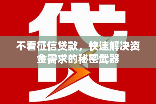 盐埔不看征信贷款，快速解决资金需求的秘密武器