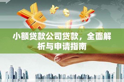 盐埔小额贷款公司贷款，全面解析与申请指南