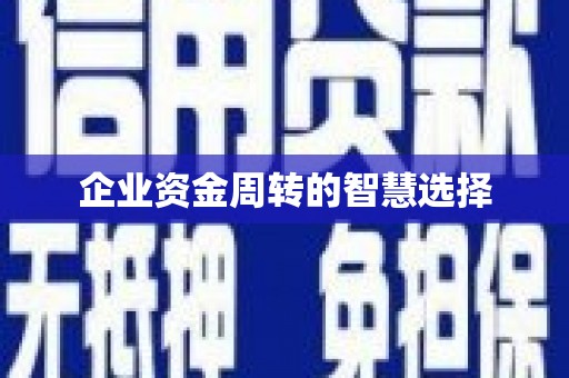 盐埔企业资金周转的智慧选择