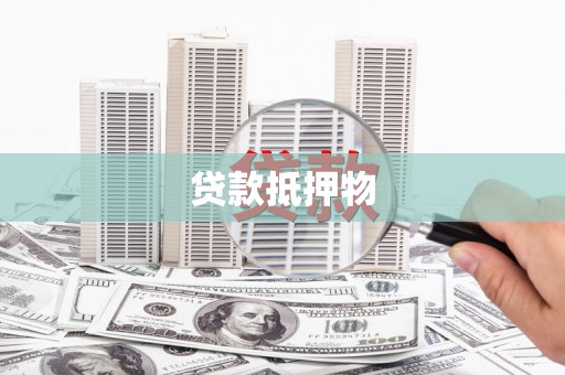 盐埔贷款抵押物