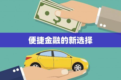盐埔便捷金融的新选择