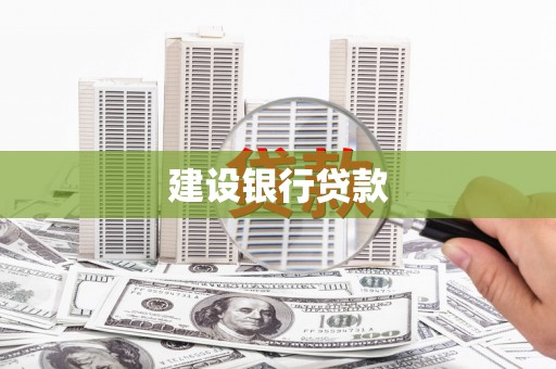 盐埔建设银行贷款