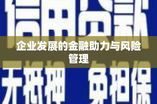 盐埔企业发展的金融助力与风险管理