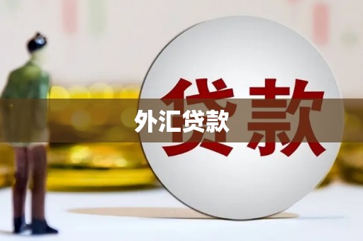 盐埔外汇贷款