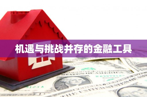 盐埔机遇与挑战并存的金融工具