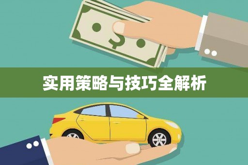 盐埔实用策略与技巧全解析