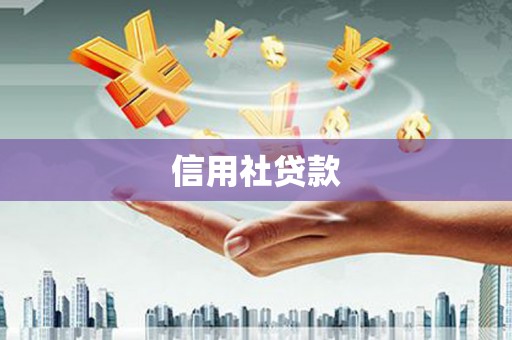 盐埔信用社贷款