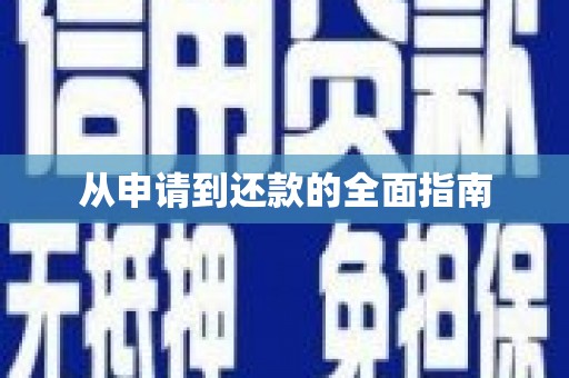 盐埔从申请到还款的全面指南
