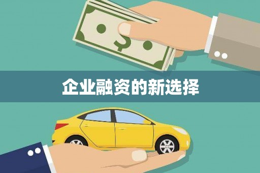 盐埔企业融资的新选择