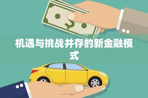 盐埔机遇与挑战并存的新金融模式