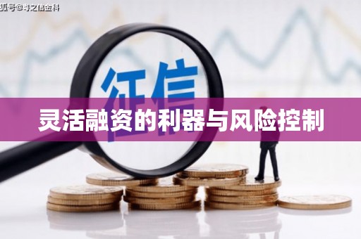 盐埔灵活融资的利器与风险控制