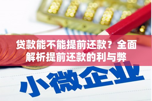 盐埔贷款能不能提前还款？全面解析提前还款的利与弊