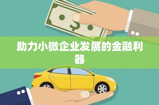 盐埔助力小微企业发展的金融利器