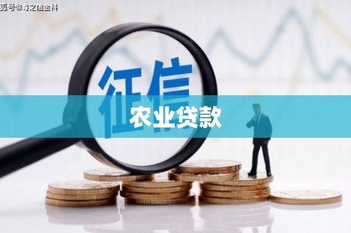 盐埔农业贷款