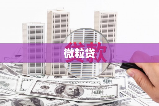 盐埔微粒贷