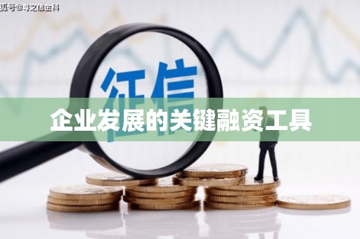 盐埔企业发展的关键融资工具