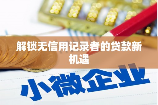 盐埔解锁无信用记录者的贷款新机遇