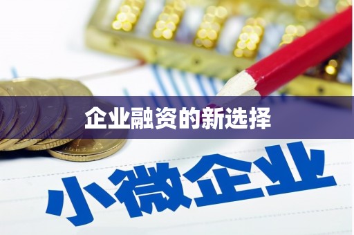 盐埔企业融资的新选择