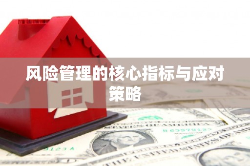 盐埔风险管理的核心指标与应对策略