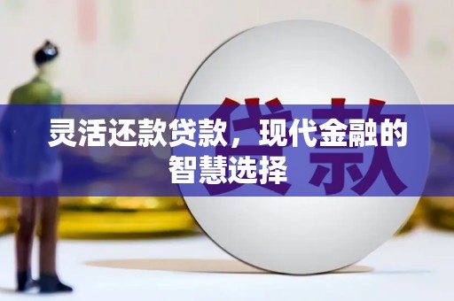 盐埔灵活还款贷款，现代金融的智慧选择