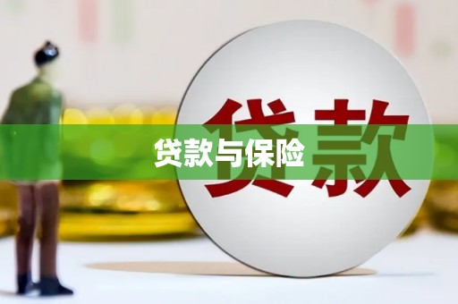 盐埔贷款与保险
