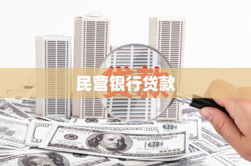 盐埔民营银行贷款