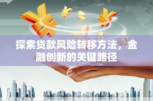 盐埔探索贷款风险转移方法，金融创新的关键路径
