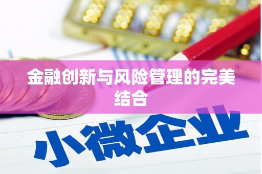 盐埔金融创新与风险管理的完美结合
